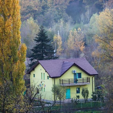 Pensiunea Happy Schitu Topolnitei Zewnętrze zdjęcie